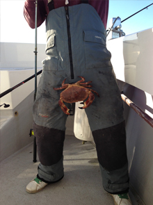 Fishing Trip - Image 38