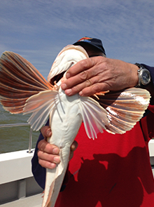 Fishing Trip - Image 31